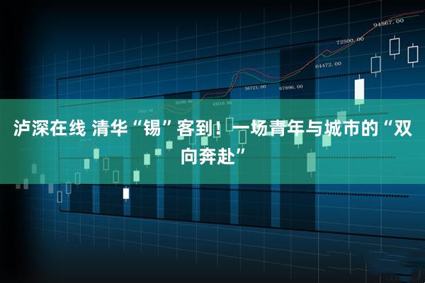 泸深在线 清华“锡”客到！一场青年与城市的“双向奔赴”