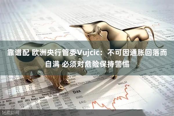 靠谱配 欧洲央行管委Vujcic：不可因通胀回落而自满 必须对危险保持警惕