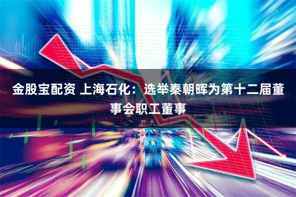 金股宝配资 上海石化：选举秦朝晖为第十二届董事会职工董事