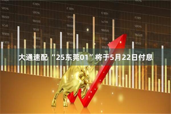 大通速配 “25东莞01”将于5月22日付息